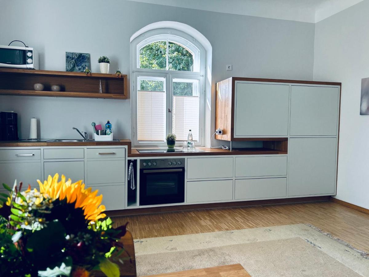 Schlosspark Apartment I 80Qm I 3 Betten I Bei Dresden Heidenau  Exteriér fotografie